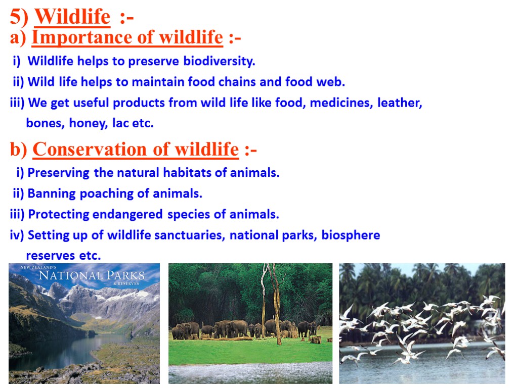 5) Wildlife :- a) Importance of wildlife :- i) Wildlife helps to preserve biodiversity.